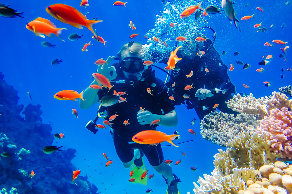 Discover Scuba Diving